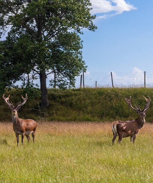 Interview met De Zeeuwse Boer uit het Local Taste Kookboek Zeeuwse gerechten