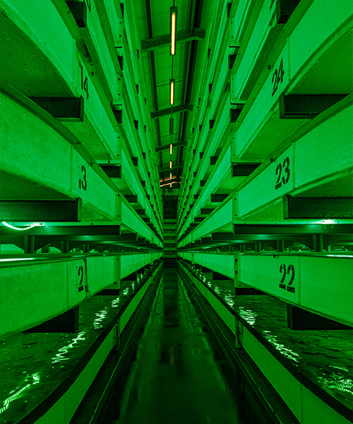 Interview met Seafarm uit het Local Taste Kookboek Zeeuwse gerechten