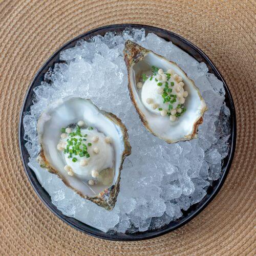 Local Taste Magazine Tilburg 2024-2025 - Deelnemers - Net uit het Centrum - T-Huis